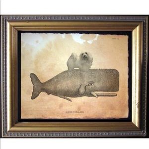 Havanese Dog Riding Whale Art Print Tea Stained